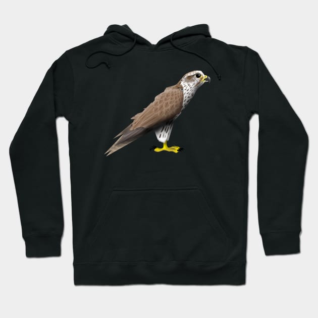 Falcon Hoodie by Wickedcartoons